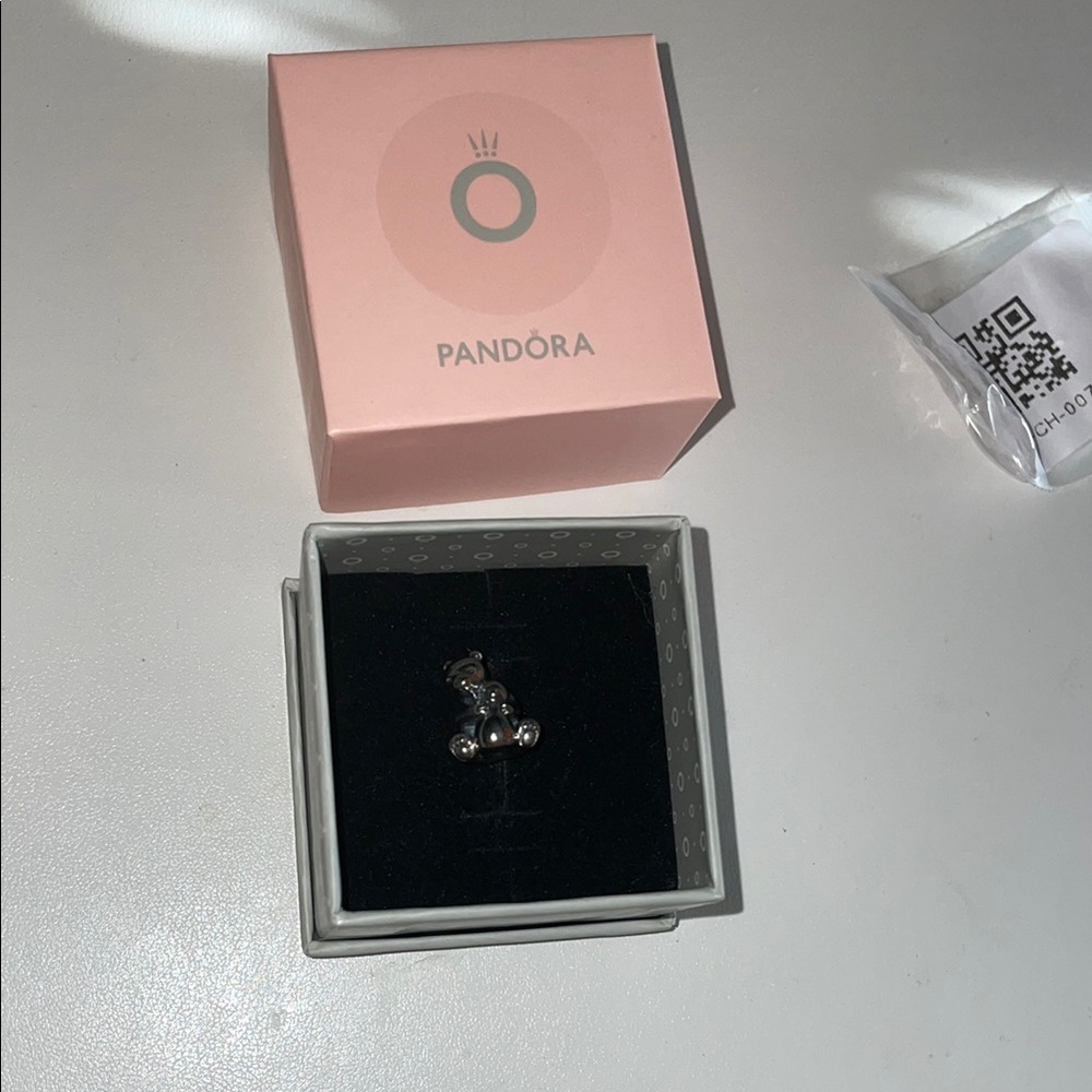 Pandora Silver Charm